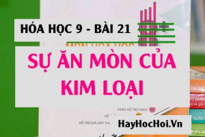Sự ăn mòn kim loại là gì? bản chất, tác hại và bảo vệ kim loại không bị ăn mòn - Hóa 9 bài 21